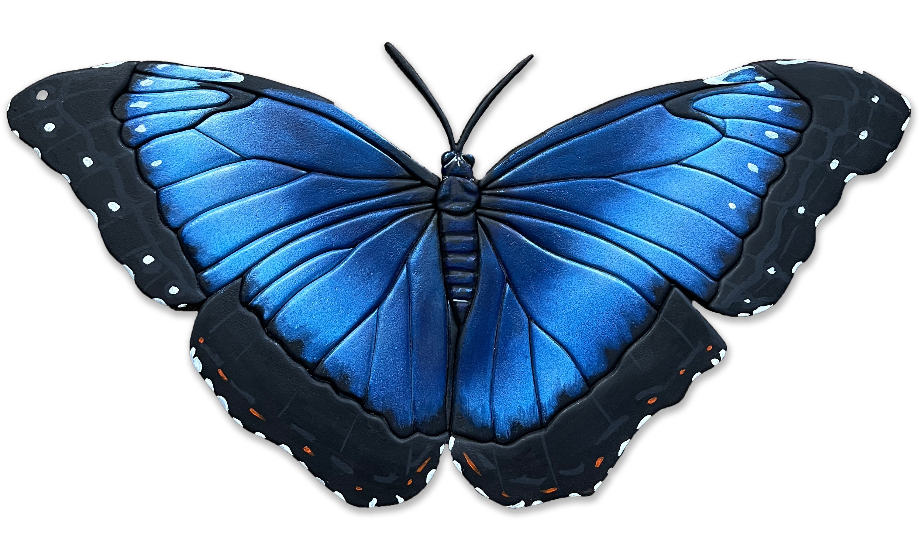 BlueMorphoButterfly9.21.jpg?v=