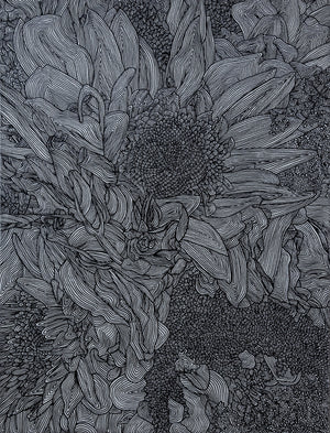 Floral Line Drawing III 18x24"