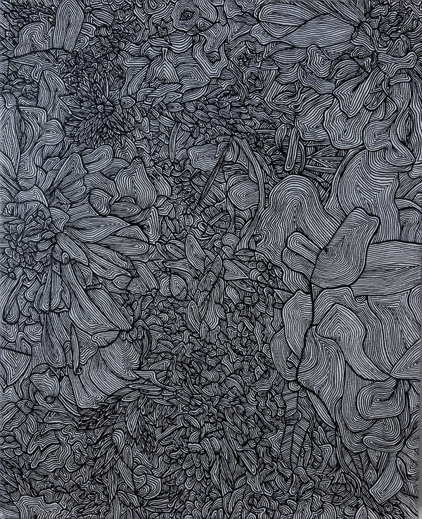 Floral Line Drawing V 16x20"