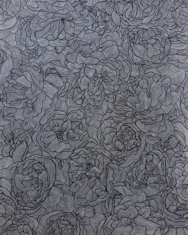 Floral Line Drawing II 48x60"