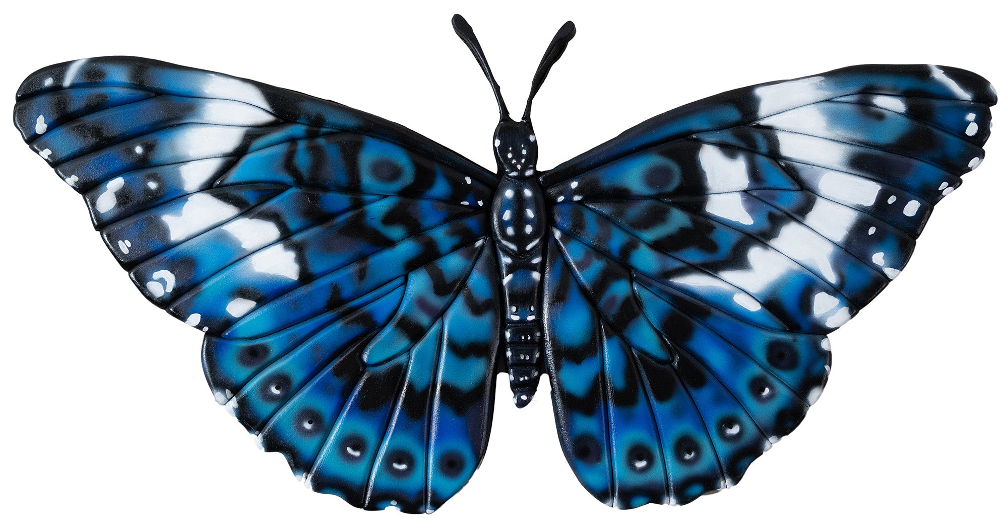 Blue Cracker Butterfly 10x20